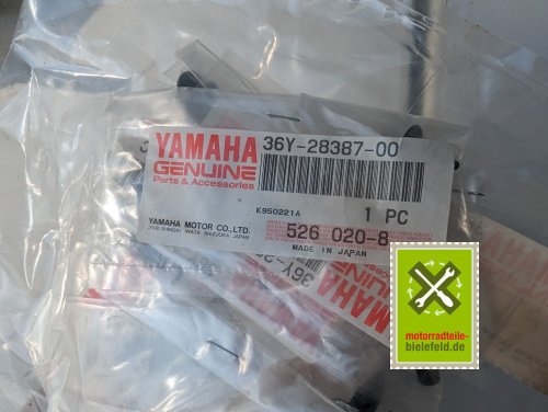 PXL_20240528_155948987
